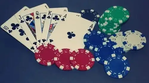 cafecasino Cartas Ballena Gris